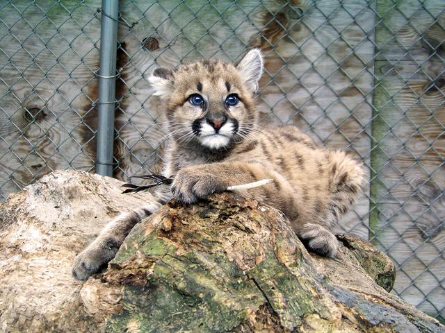 Northeastern Wisconsin Zoo